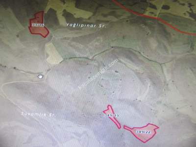 Kayseri Develi Yedek Mahallesi Satlık Tarla 5