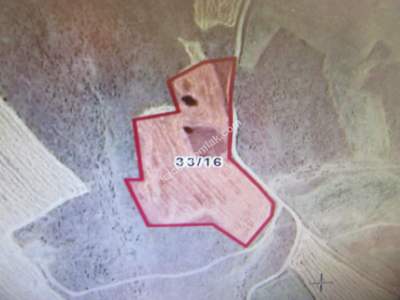 Kayseri Develi Yedek Mahallesi Satlık Tarla 3