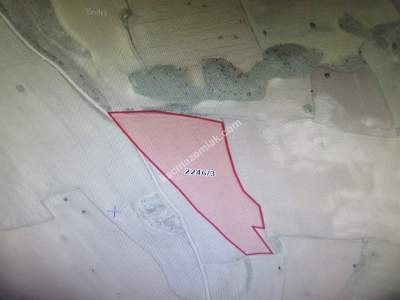 Kayseri Develi Yeni Mah Satlık Tarla 7