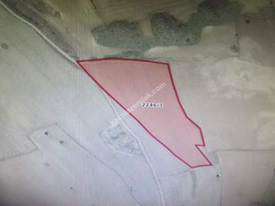 Kayseri Develi Yeni Mah Satlık Tarla 5