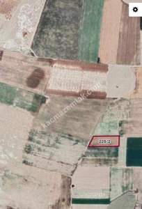 Develi Sindelhöyük Mah Tarla 4