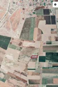 Develi Sindelhöyük Mah Tarla 3