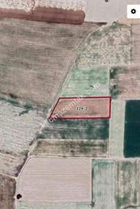 Develi Sindelhöyük Mah Tarla 1