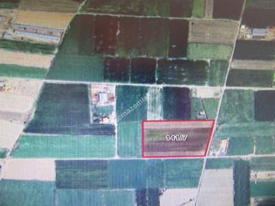 Kayseri Develi Sindelhöyük Mah Satlık Tarla 3