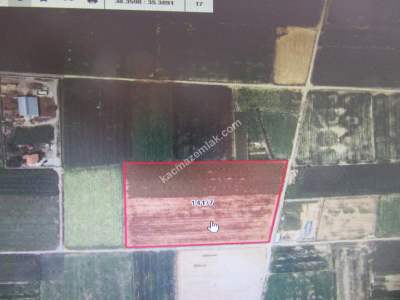 Kayseri Develi Sindelhöyük Mah Satlık Tarla 1