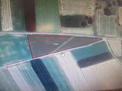 Develi Zile Mah. Mükemmel Tarla 1