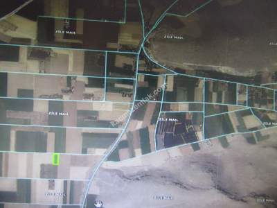 Kayseri Develi Zile Mah Satlık Tarla 5