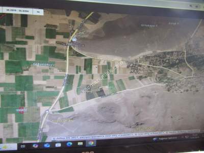 Kayseri Develi Zile Mah Satlık Tarla 6