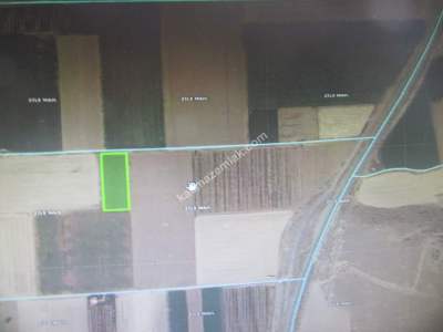 Kayseri Develi Zile Mah Satlık Tarla 4