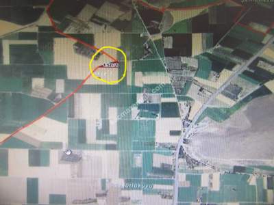 Kayseri Develi Zile Mah Satlık Tarla 4