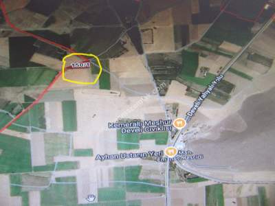 Kayseri Develi Zile Mah Satlık Tarla 5