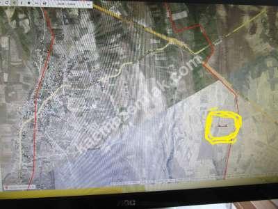 Develi Talas Başakpınar Satılık Tarla Yatırımlık 1