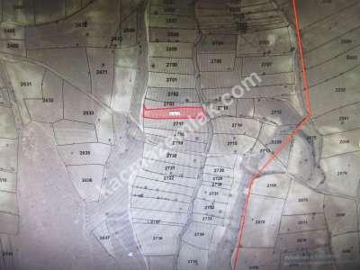 Develi Talas Başakpınar Satılık Tarla Yatırımlık 4