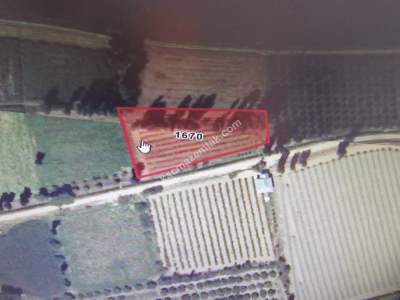 Kayseri Yahyalı Kopcu Köyü Satlık Tarla 3