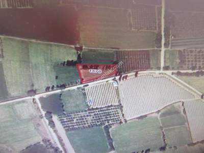 Kayseri Yahyalı Kopcu Köyü Satlık Tarla 5