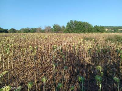 Kırklareli Babaeski Taşağıl Köyünde Satılık Tarla 13
