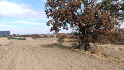 ✔️ Kırklareli/Kofçaz/Yeşillik Mahallesi Satılık Arsa 5