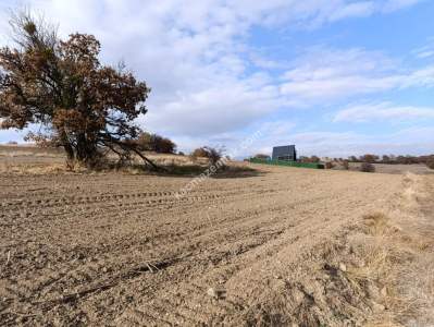✔️ Kırklareli/Kofçaz/Yeşillik Mahallesi Satılık Arsa 7