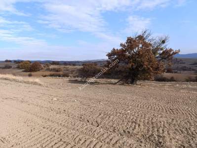 ✔️ Kırklareli/Kofçaz/Yeşillik Mahallesi Satılık Arsa 6