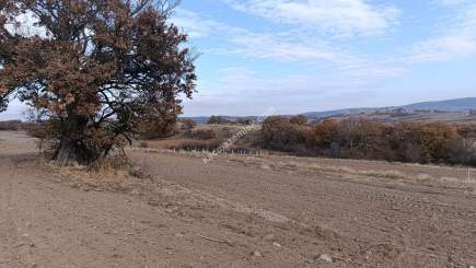 ✔️ Kırklareli/Kofçaz/Yeşillik Mahallesi Satılık Arsa 4