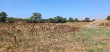 Kırklareli - Lüleburgaz - Çiftlikköy'de 2.000 M2 Tarla 1