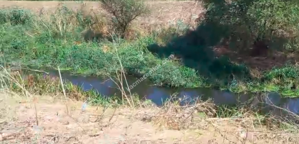 Kırklareli - Lüleburgaz - Çiftlikköy'de 2.000 M2 Tarla 4