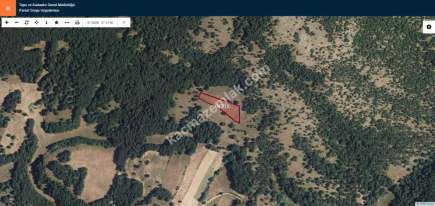 Kırklareli Merkez'de Satılık Tarla 3