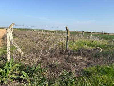 Kırklareli Kavaklı Anayola Cephe Satılık 1.750 M Tarla 2