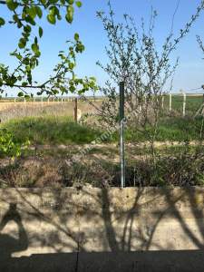 Kırklareli Kavaklı Anayola Cephe Satılık 1.750 M Tarla 3