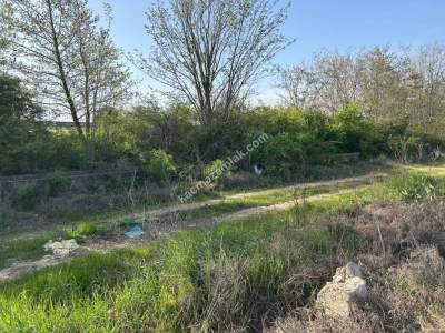 Kırklareli Kavaklı Anayola Cephe Satılık 1.750 M Tarla 5