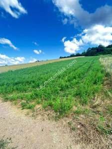 Kocaeli Derincede Satılık Arazi 3