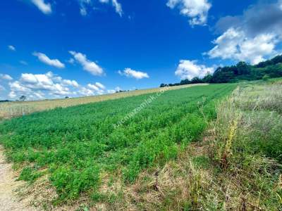 Kocaeli Derincede Satılık Arazi 6