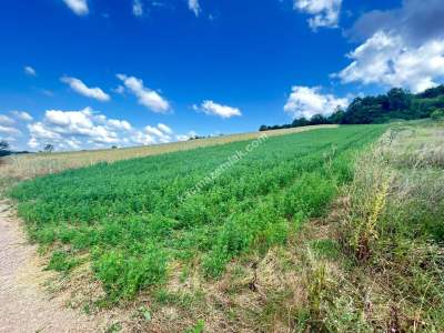 Kocaeli Derincede Satılık Arazi 5