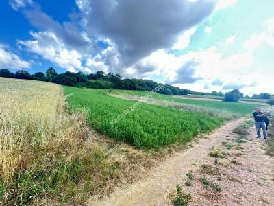Kocaeli Derincede Satılık Arazi 7