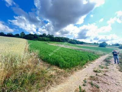 Kocaeli Derincede Satılık Arazi 4