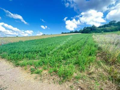 Kocaeli Derincede Satılık Arazi 1