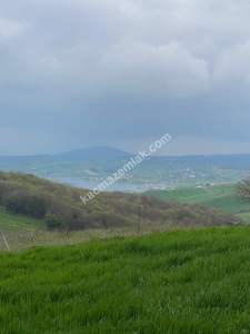Kocaeli Derincede Satılık Tarla 12