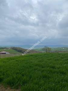 Kocaeli Derincede Satılık Tarla 10