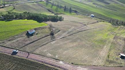 Kocaeli Derincede Satılık Tarla 7