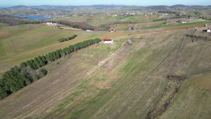 Kocaeli Derincede Satılık Tarla 6