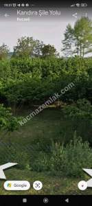 Kocaeli Akçaova Da Satılık 1530.36 M2 Findık Tarlası 9