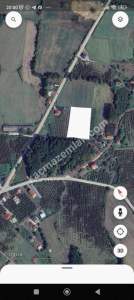 Kocaeli Akçaova Da Satılık 1530.36 M2 Findık Tarlası 3