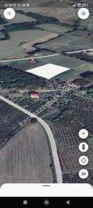 Kocaeli Akçaova Da Satılık 1530.36 M2 Findık Tarlası 4