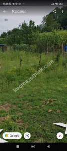 Kocaeli Kandıra Çamkonak Ta Satılık 4077.21 Metrekare T 12