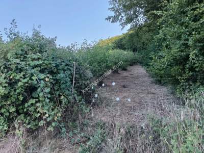 Kocaeli Kandıra Karaağaç 20 Dönüm Yatırımlık İki Tarla 18