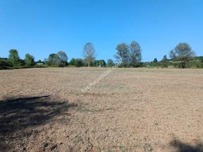 Kocaeli Kandıra Karaağaç 20 Dönüm Yatırımlık İki Tarla 9