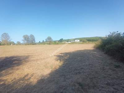 Kocaeli Kandıra Karaağaç 20 Dönüm Yatırımlık İki Tarla 6