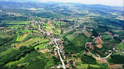 Kocaeli, Kandıra Karaağaç'ta Yatırımlık 8.400 M2 Tarla 1