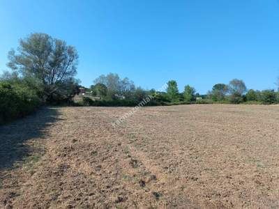 Kocaeli Kandıra Karaağaç 20 Dönüm Yatırımlık İki Tarla 8