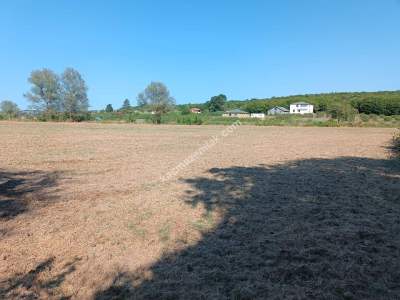 Kocaeli Kandıra Karaağaç 20 Dönüm Yatırımlık İki Tarla 7